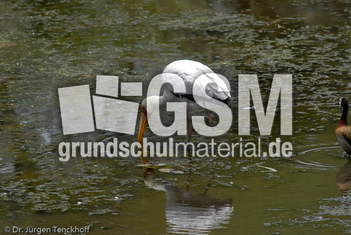 Nimmersatt (7 von 22).jpg